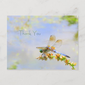 Pastel Dragonfly Obrigado Cartão Postal