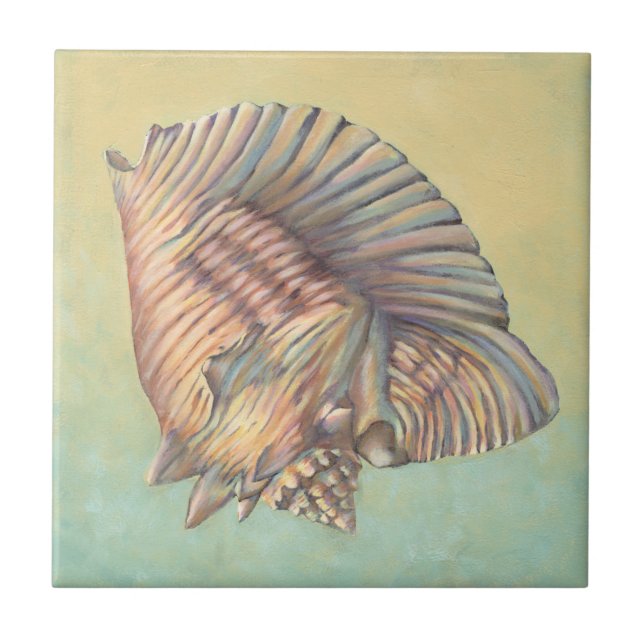 Pastel Grande Shell de Conch (Frente)