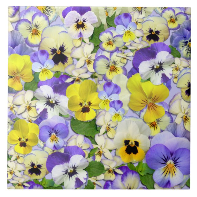 Pastel Pansies (Frente)