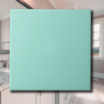 Pastel Seafoam Cor Sólida | Clássico | Elegante<br><div class="desc">Pastel Seafoam Cor Sólida | Clássico | Elegante | Evolução | NA MODA | Presente</div>