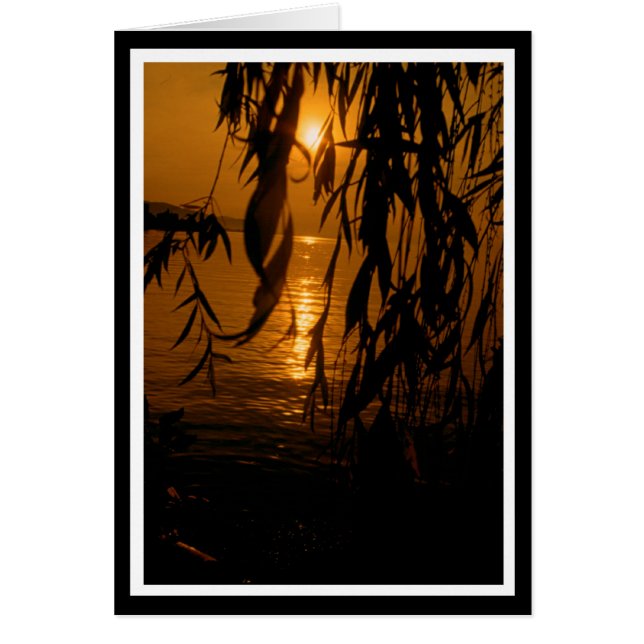 Pasto de luto com pôr do sol cartão (Frente)