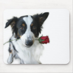Pastor australiano e Mousepad cor-de-rosa