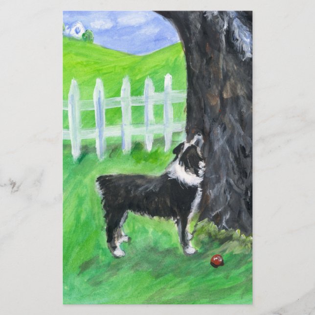 Pastor australiano vê esquilo (Frente)