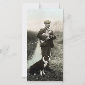 Pastor com Lamb e Borda Collie