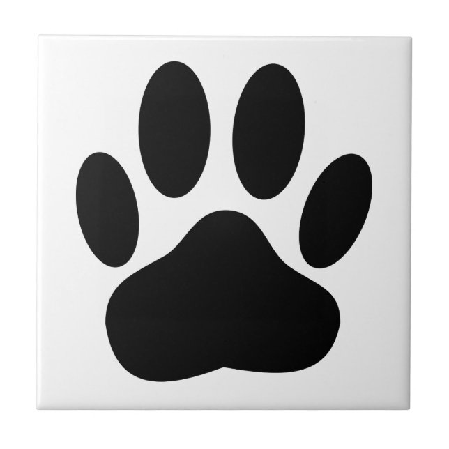 Pata de Cachorro Fundo Branco Animal de Estimação (Frente)