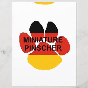pata de pinscher em miniatura
