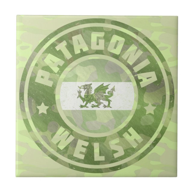 Patagonia Welsh Camo Flag (Frente)