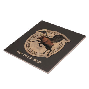 Patch da Aviação de Moose Voadora