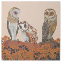 PATCH DE PUMPKIN DO AMBRE OWLS