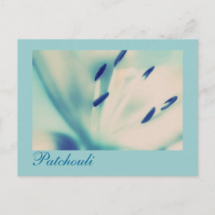 Patchouli Lily Cartão postal Arte Digital Floral