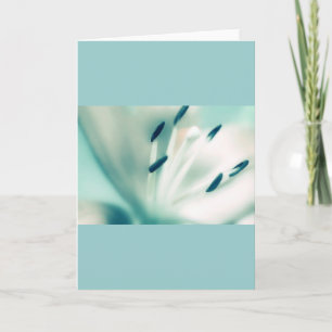 Patchouli Lily, flor, cartões de saudação de model