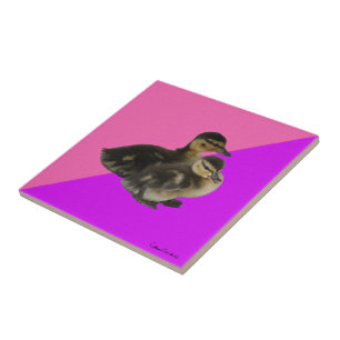 Patinhos em Sorvete de Framboesa Rosa e Roxo
