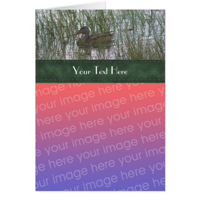 Pato Bonito Na Natureza Da Pond Seu Cartão com fot (Frente)