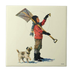 Pato-colhereiro da neve