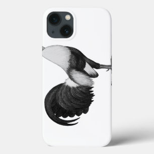 Pato De Cinza De Gamecock