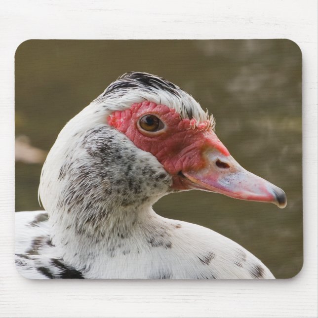 Pato de Muscovy Mousepad (Frente)