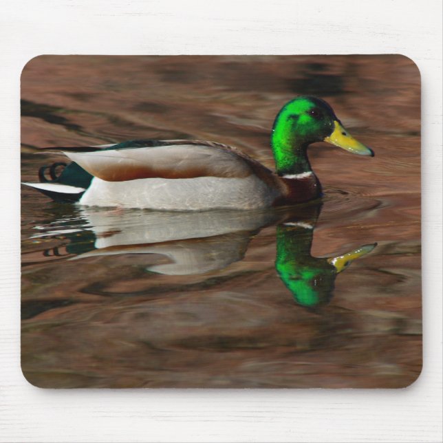 Pato do Rio Colorado Mouse Pad (Frente)