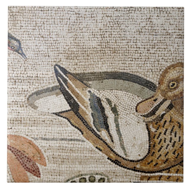 Pato e pássaro, mosaico de Nile, casa do Faun (Frente)