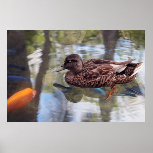 Pato e Poster de peixe