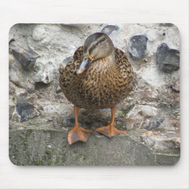 Pato em um Mousepad de parede (Frente)