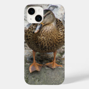 Pato em uma Parede