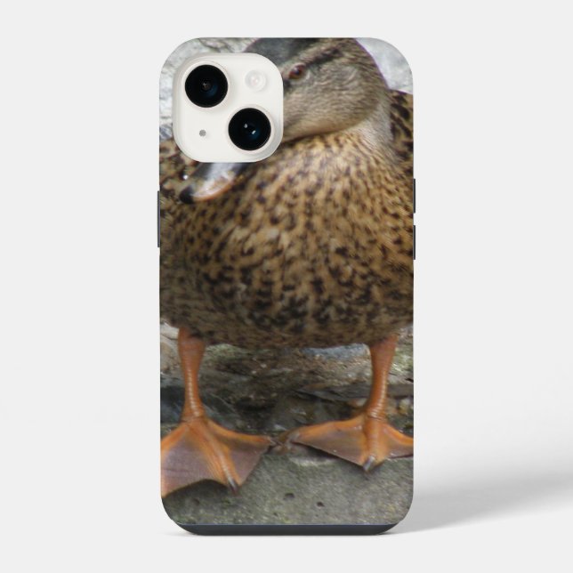 Pato em uma Parede (Verso)