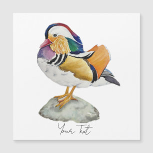 Pato-mandarim aquarela