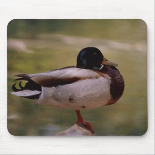 Pato Mousepad