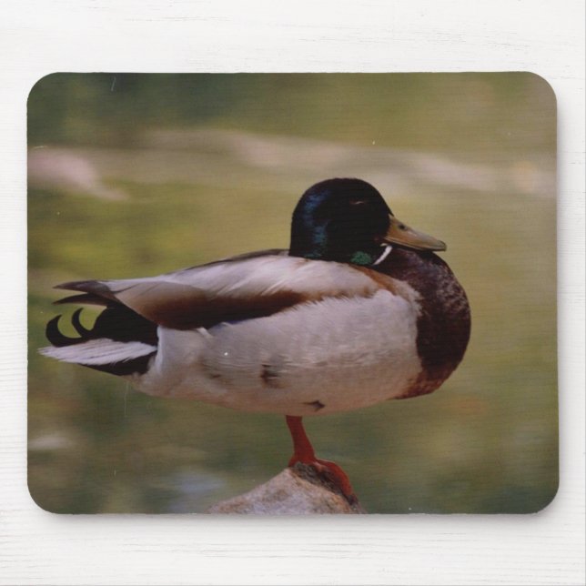 Pato Mousepad (Frente)