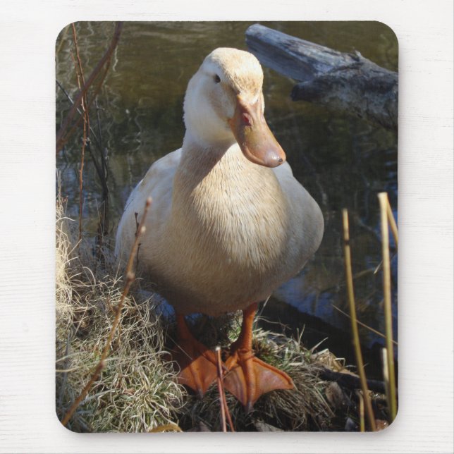 Pato Mousepad de Saxony (Frente)