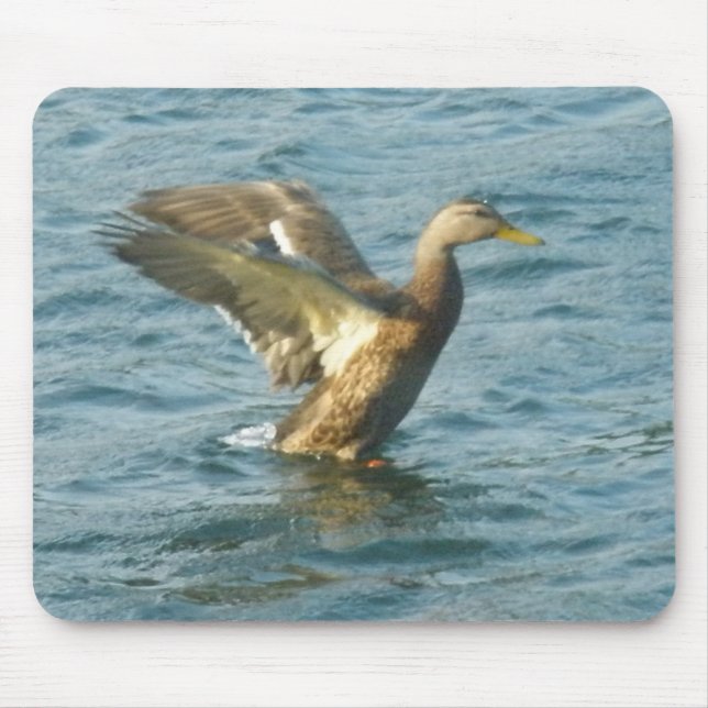 Pato Mousepad do vôo (Frente)