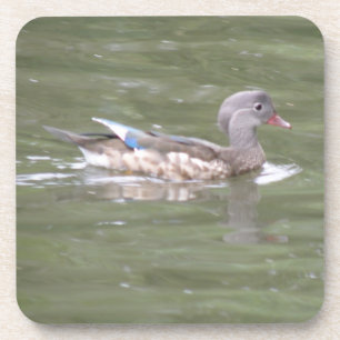Pato na Porta copos do Lago Cork