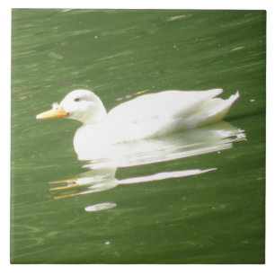 Pato no Azulejo d'água