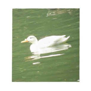 Pato no Bloco de Notas de Água