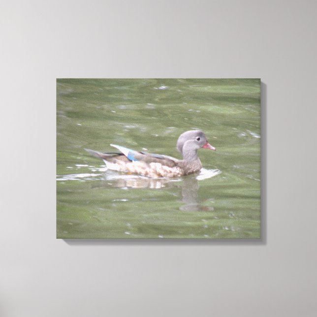 Pato no Lago Canvas Print (Frente)