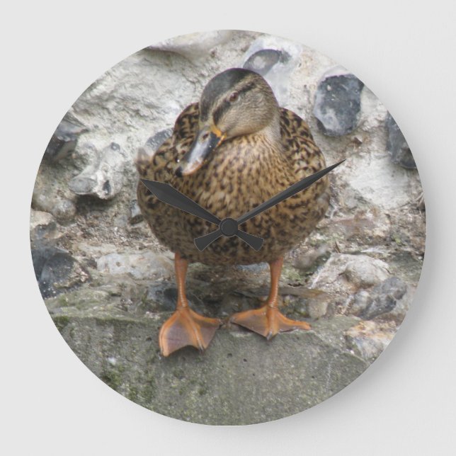 Pato num Relógio de Parede (Frente)