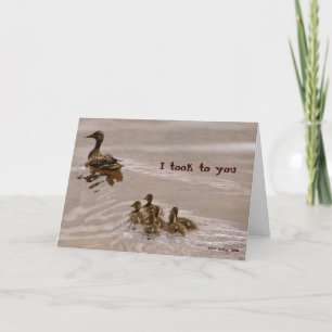 Pato para molhar o cartão