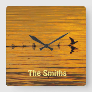 Pato voando através do relógio de parede do temp