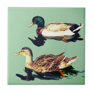 Patos