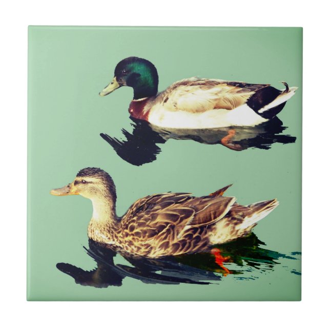 Patos (Frente)
