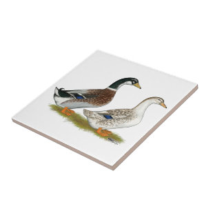 Patos: Appleyard de prata