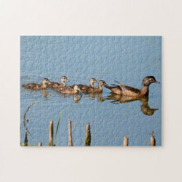 Patos Bebês seguidos pela mãe Quebra-cabeça