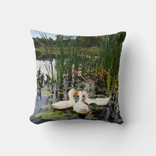Patos brancos, almofadas de lírios, cattails, cost