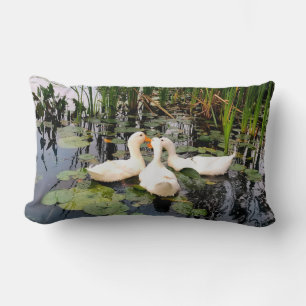 Patos brancos, almofadas de lírios, cattails, cost