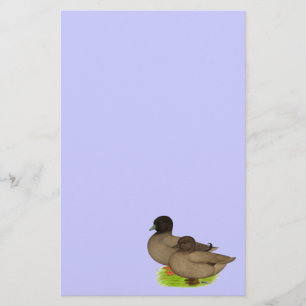 Patos:  Chamadas de Khaki