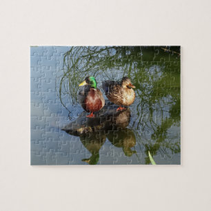 Patos de Mallard nº 2 Quebra-cabeça de Jigsaw