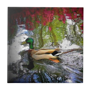 Patos do sul