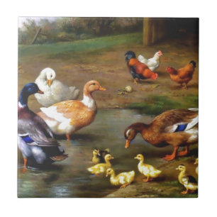 Patos e patinhos