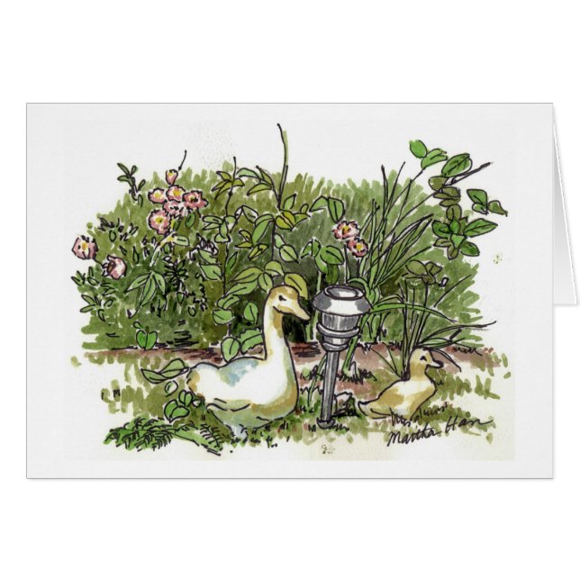 Patos em cartões de um jardim (Frente Horizontal)