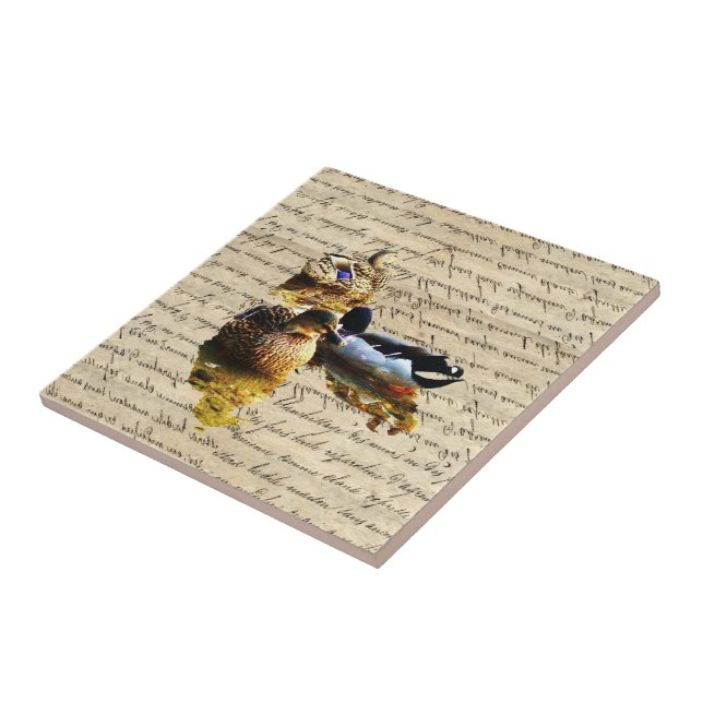 Patos em papel de vintagem (Lateral)